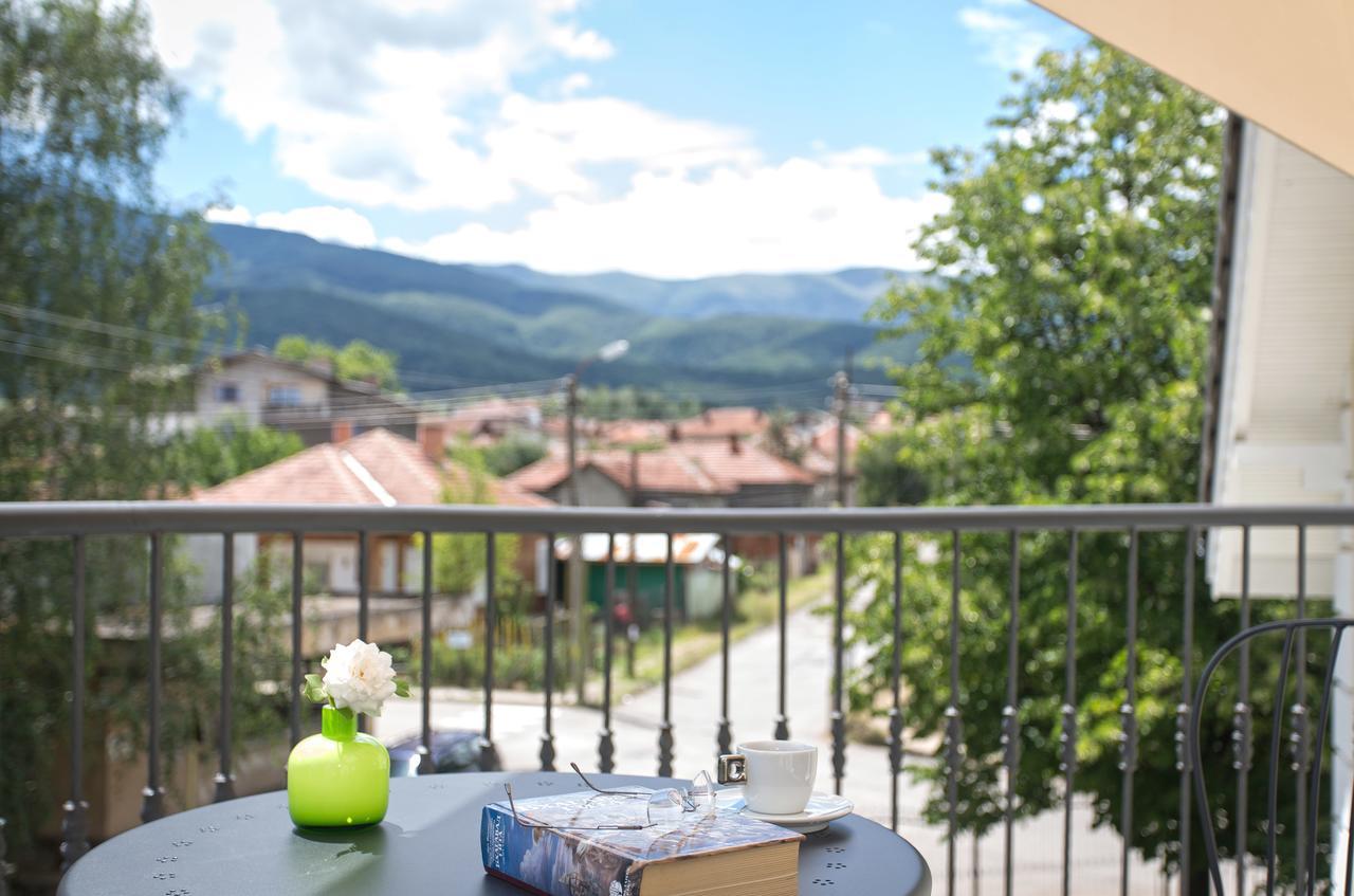 Green Hill Guest House Berkovitsa Εξωτερικό φωτογραφία